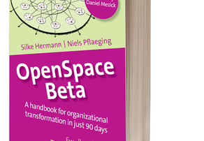 Boglancering OpenSpace Beta